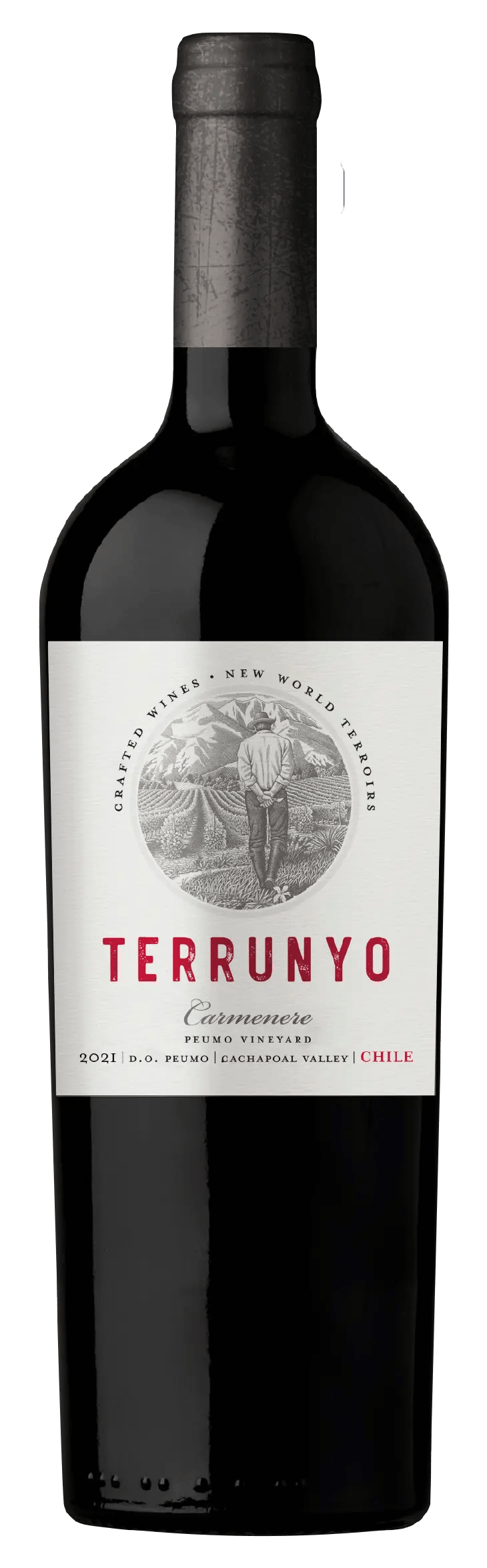 Concha y Toro Concha y Toro Don Melchor Cabernet Sauvignon Maipo Valley